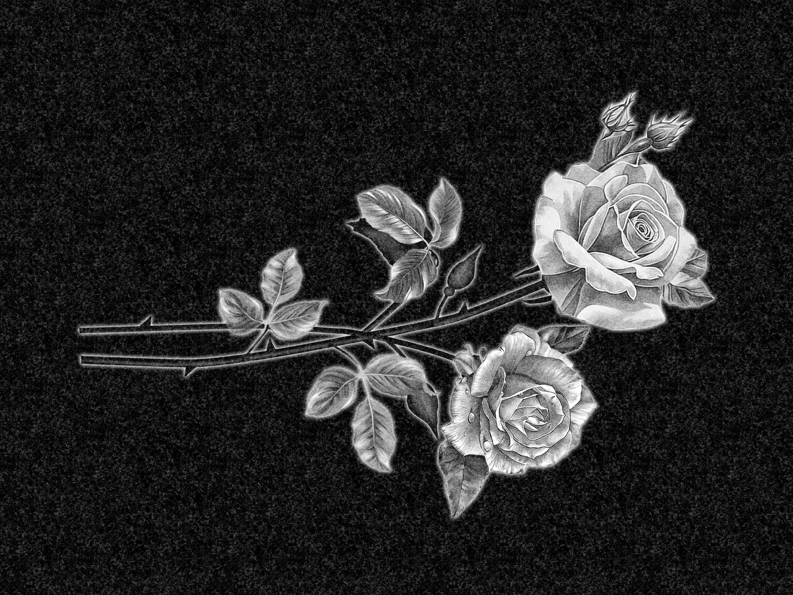 Цветы | Рисунок два тюльпана, ЦВ-020